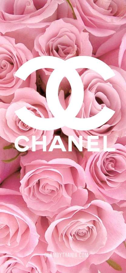 Pink roses with white Chanel logo and text overlay. — Girly iPhone Background