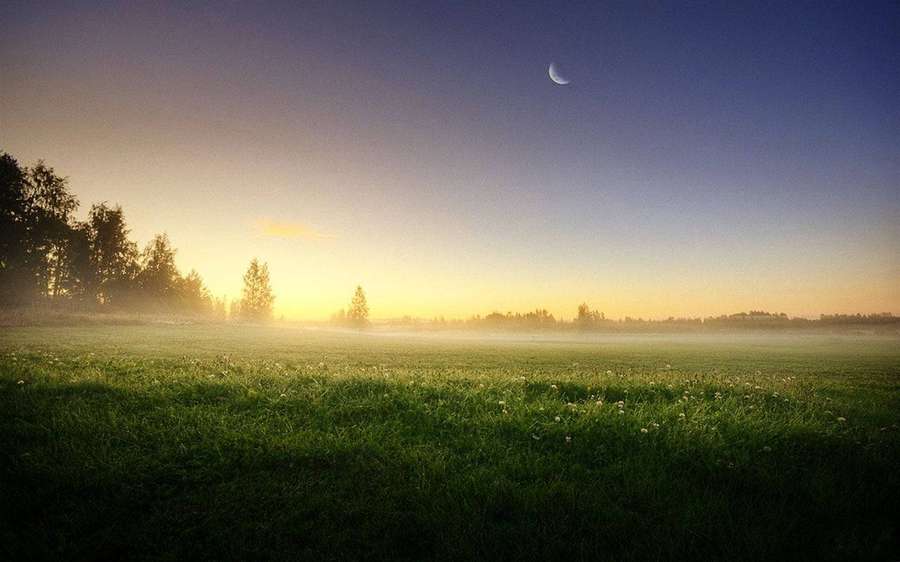 Campo nebuloso ao amanhecer com lua crescente e nascer do sol dourado. — Glória Papéis de Parede