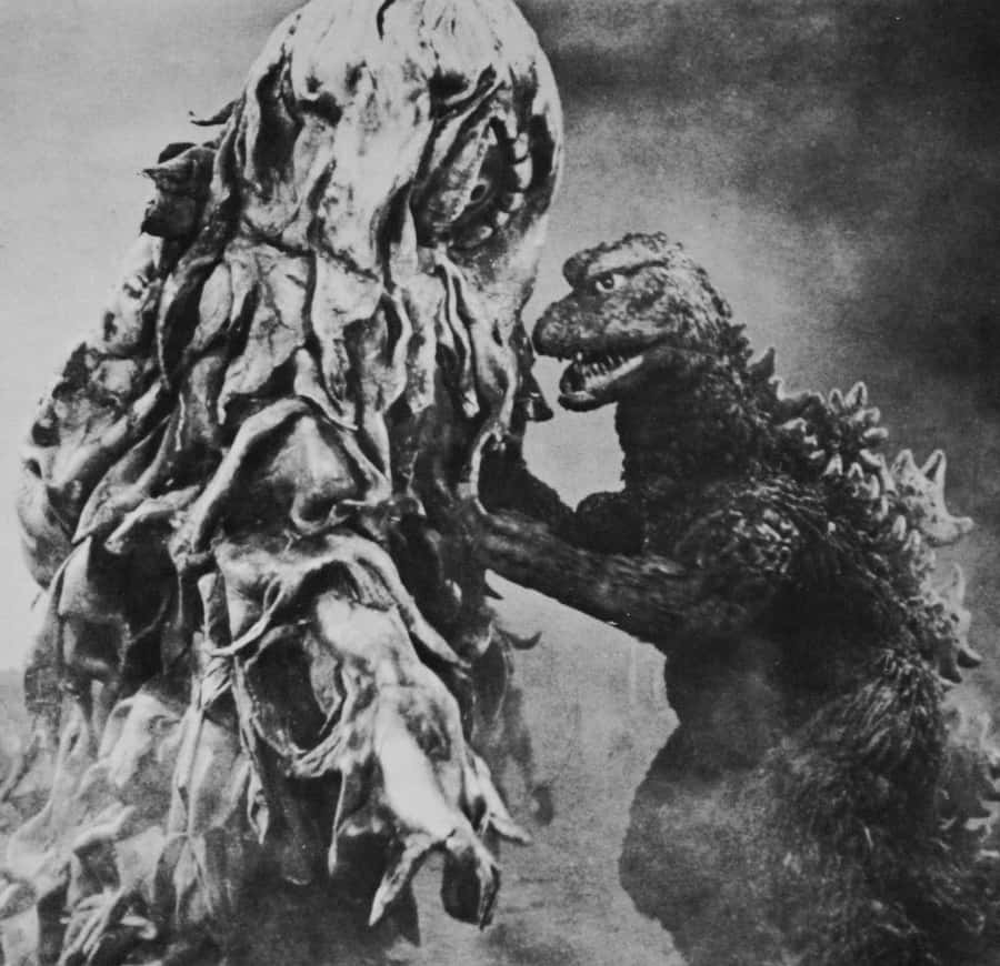 Godzilla Vs Hedorah Achtergrond