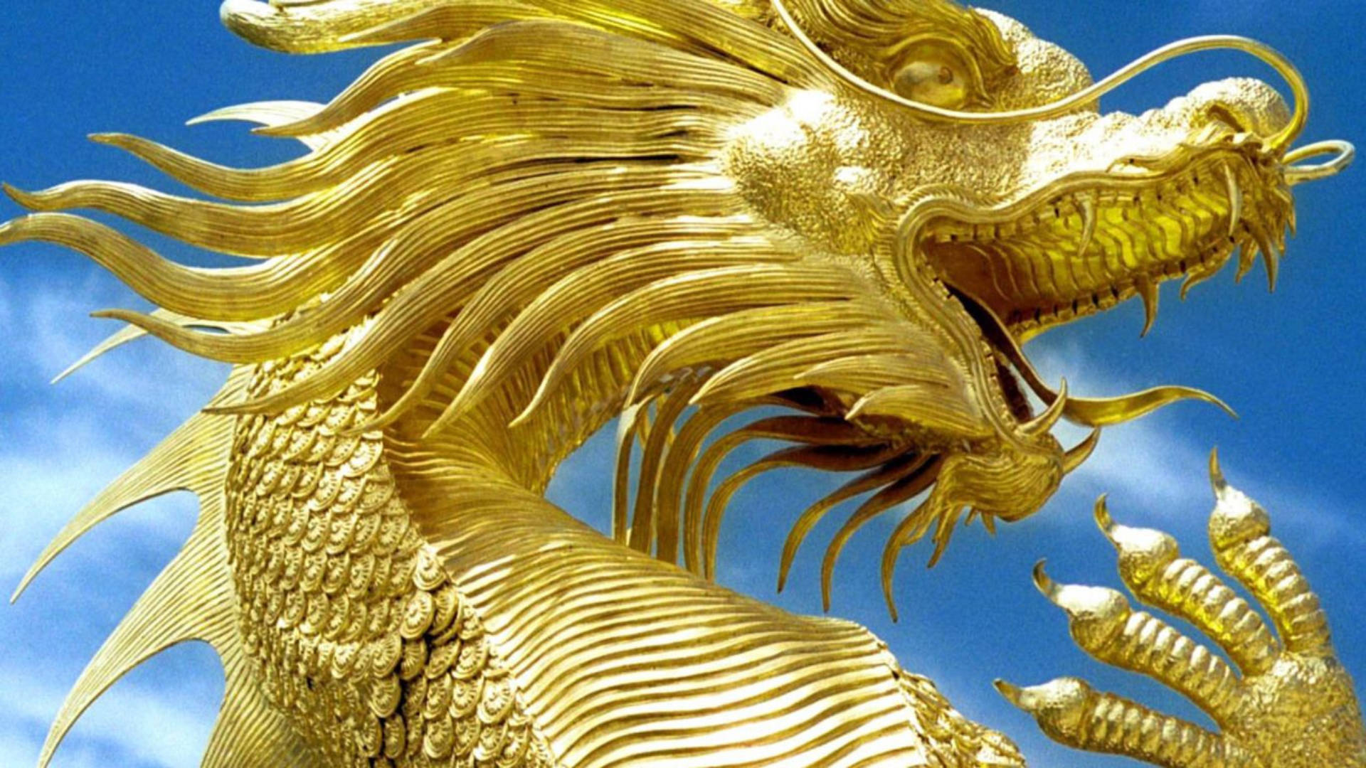 Golden Dragon Wallpaper Images