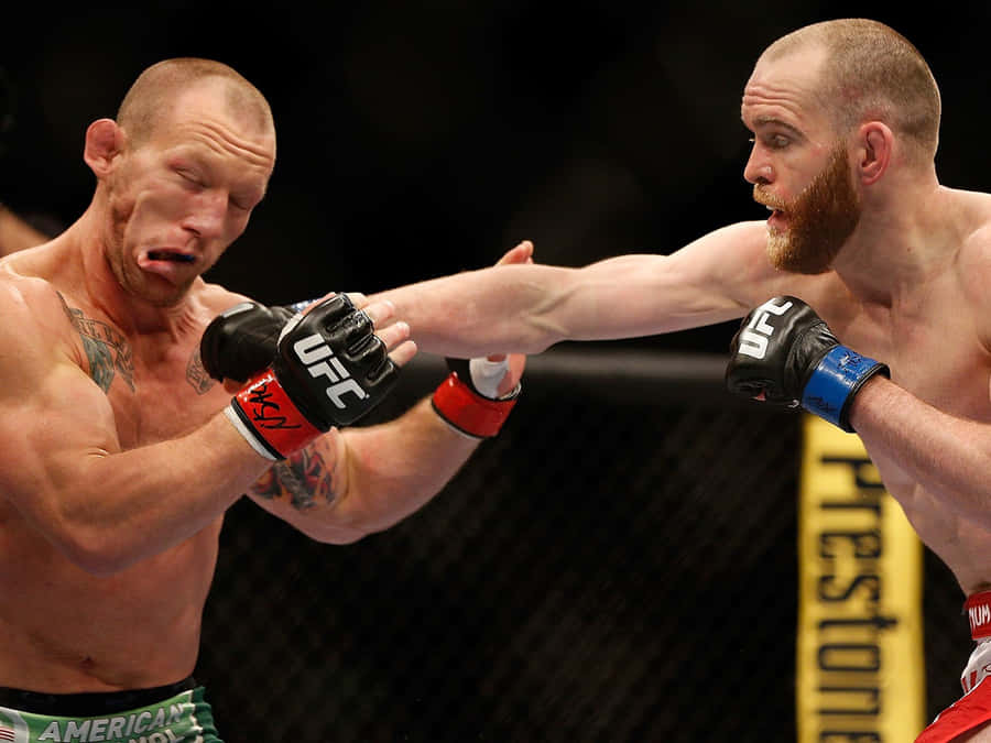 Gray Maynard Papel de Parede