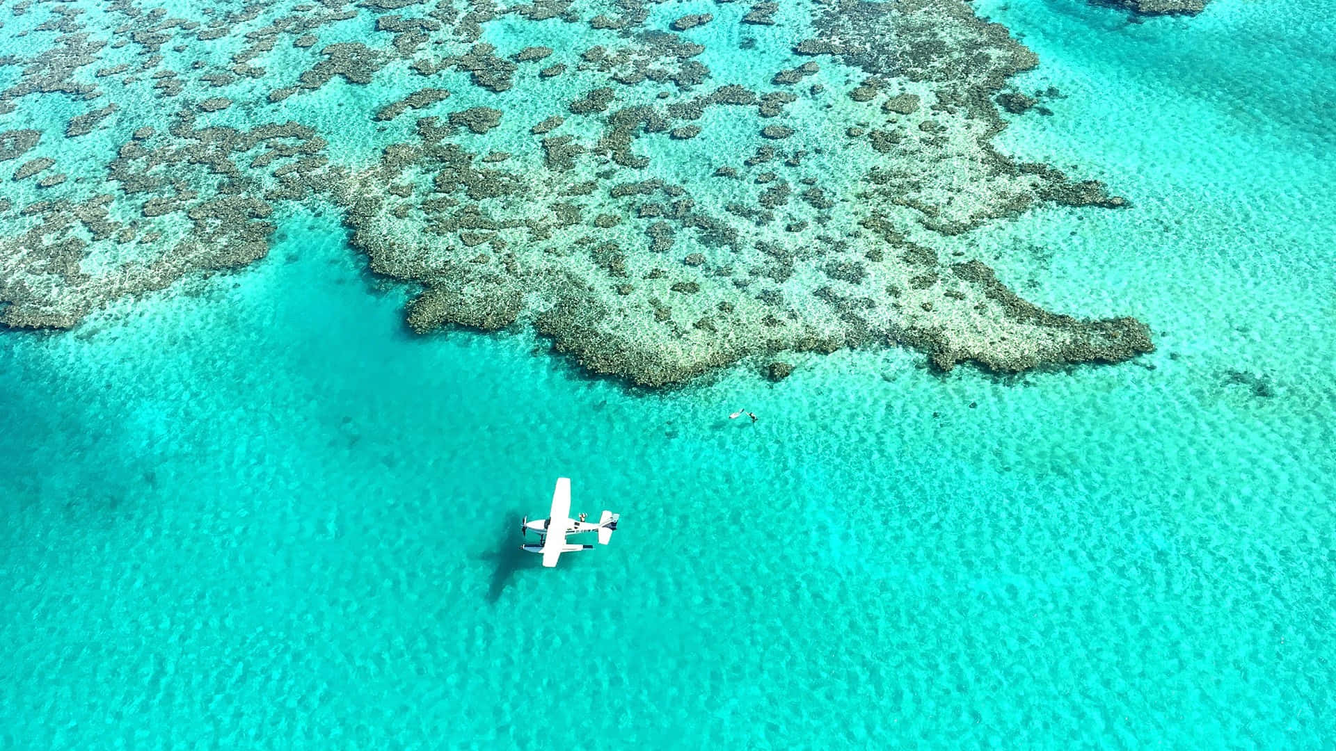 Great Barrier Reef Wallpaper