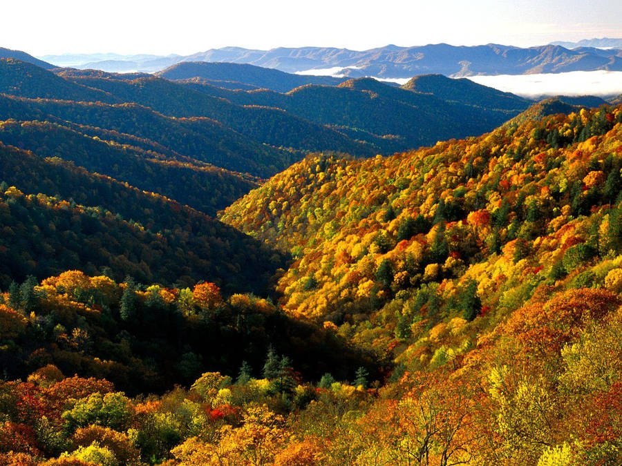 Great Smoky Mountains Pictures Wallpaper