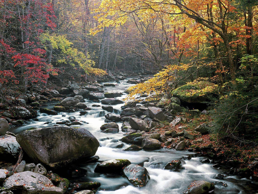 Great Smoky Mountains Achtergrond