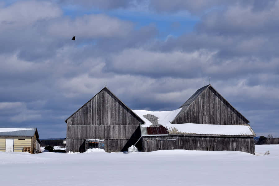 Greater Sudbury Fond d'écran