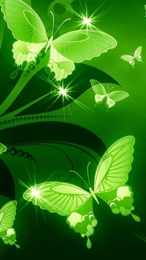 Glowing green butterflies with starburst effects on a dark green abstract background. — Green Butterfly Wallpaper
