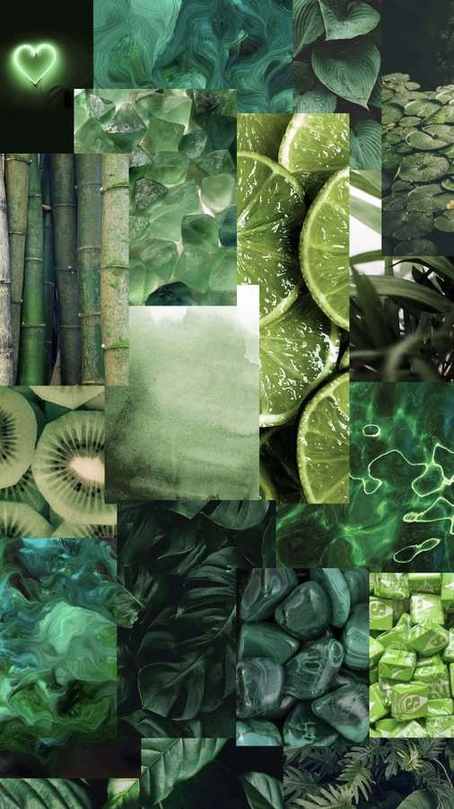 A green-themed collage with lime slices bamboo leaves kiwi fruit and abstract water patterns. — Green Collage Wallpaper
