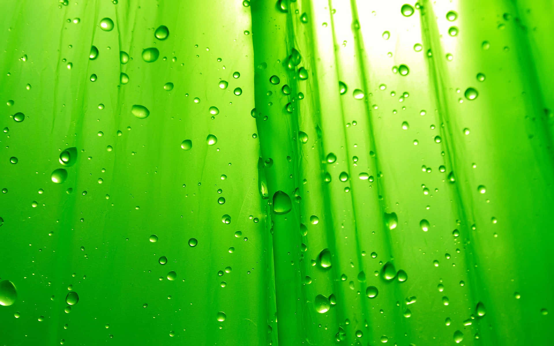 Green Color Background
