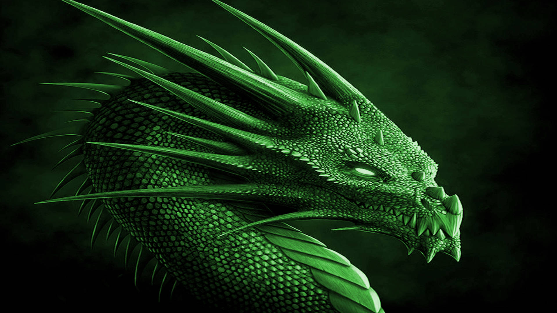 Green Dragon Wallpaper