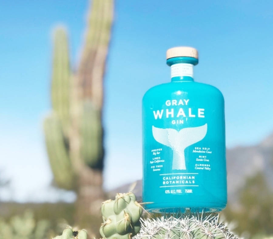 Grey Whale Gin Wallpaper