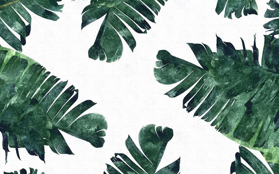 Grøn Plante Æstetisk Wallpaper