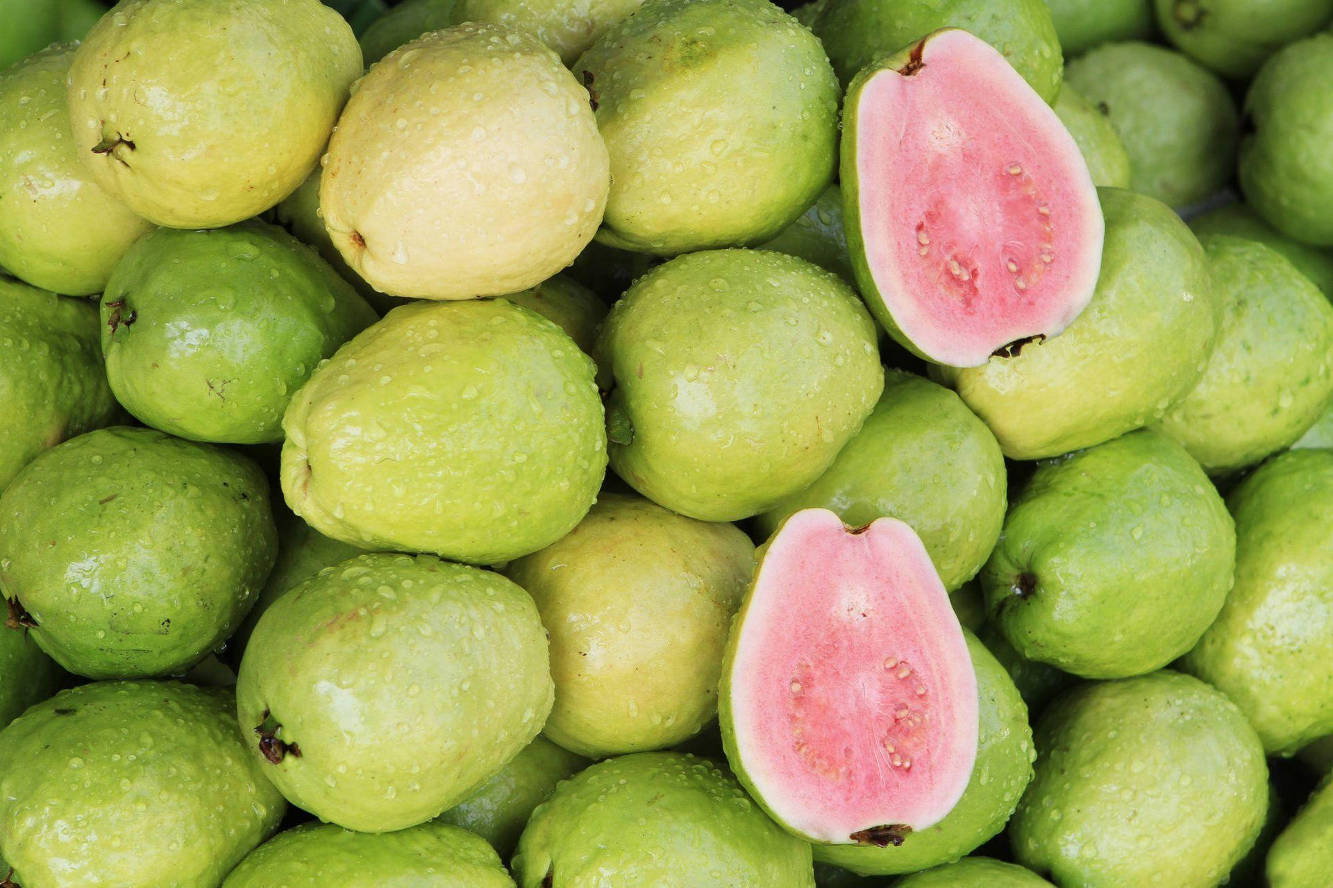 Guava Background Wallpaper