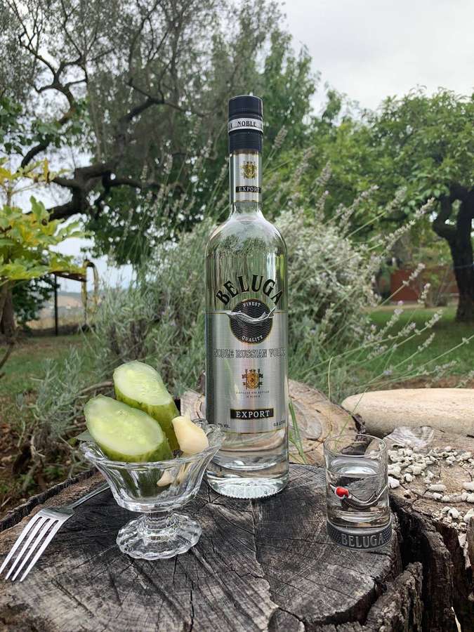 Beluga Wodka Flasche mit Gurken und Knoblauch auf einem Baumstumpf in einem Garten. — Gurke Wallpaper