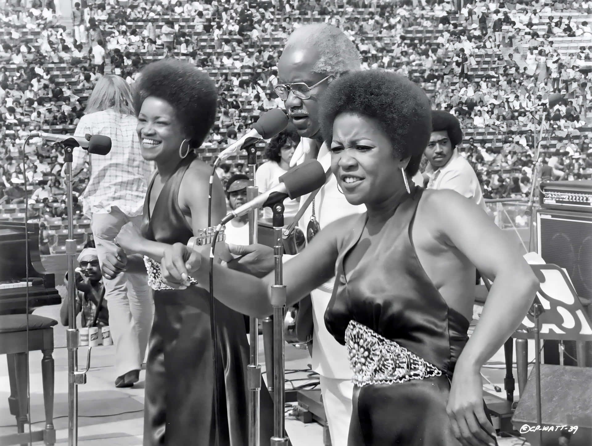 Häftklammer Sångare Wallpaper