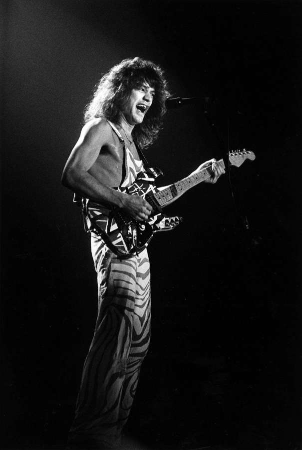 Rock guitarist in zebra-print pants playing electric guitar on stage. — Halen Wallpaper