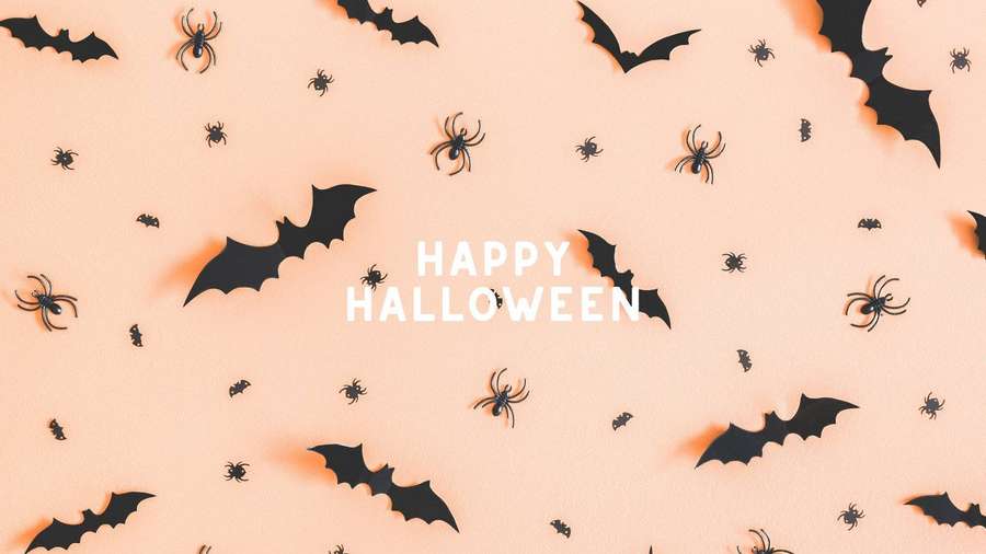 Happy Halloween greeting with bats and spiders on peach background — Halloween Aesthetic Pc Wallpaper
