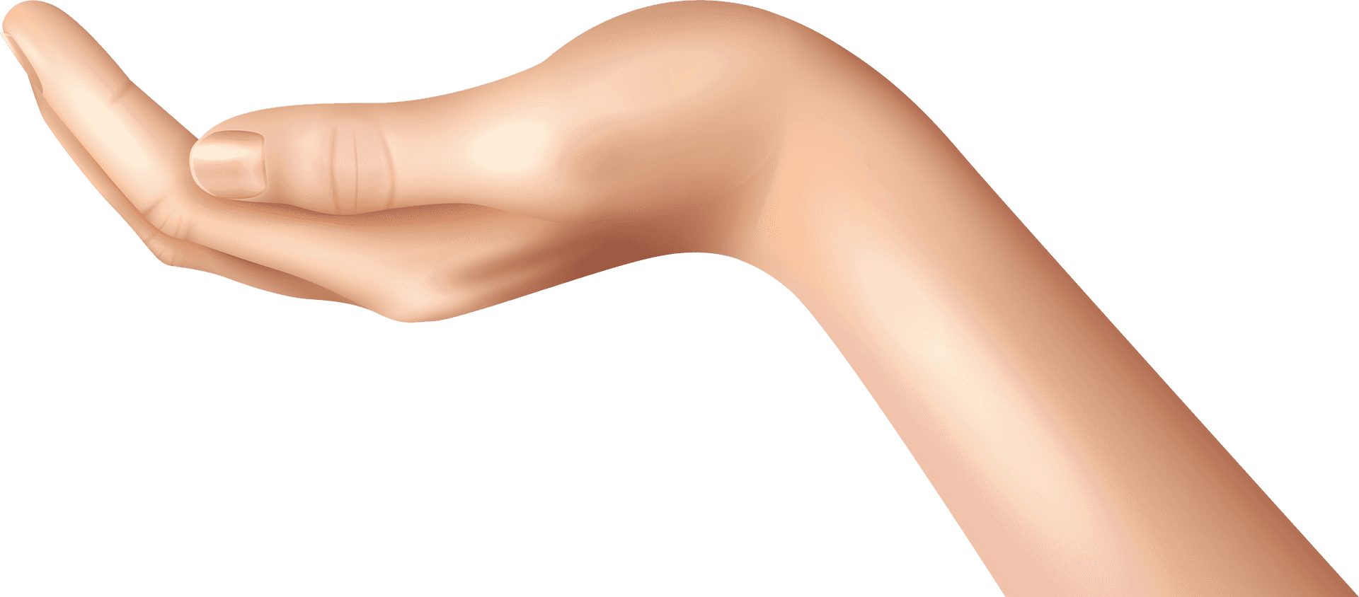 Hand Clipart Png