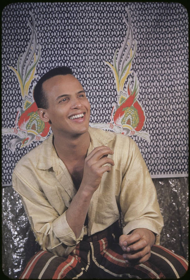 Harry Belafonte Achtergrond