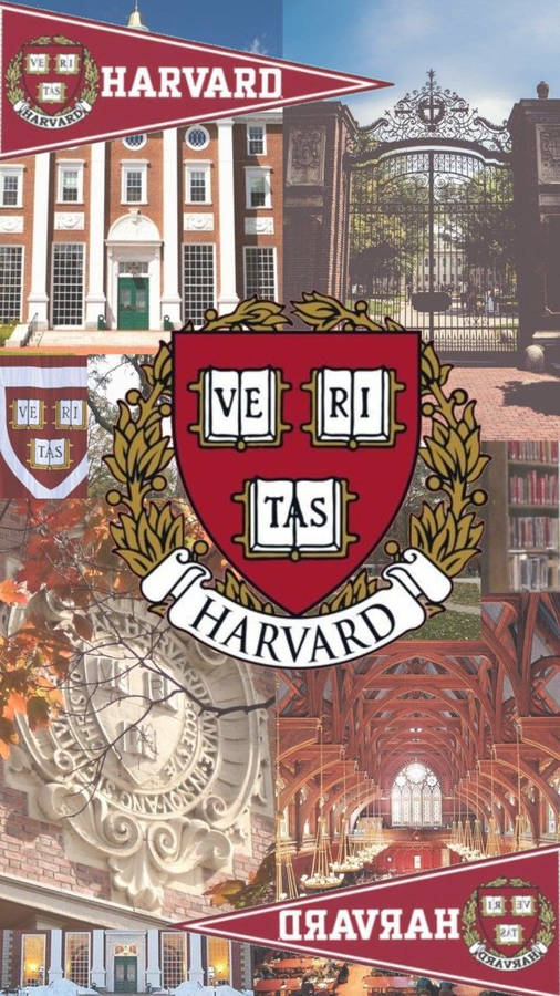 Harvard University Baggrunde