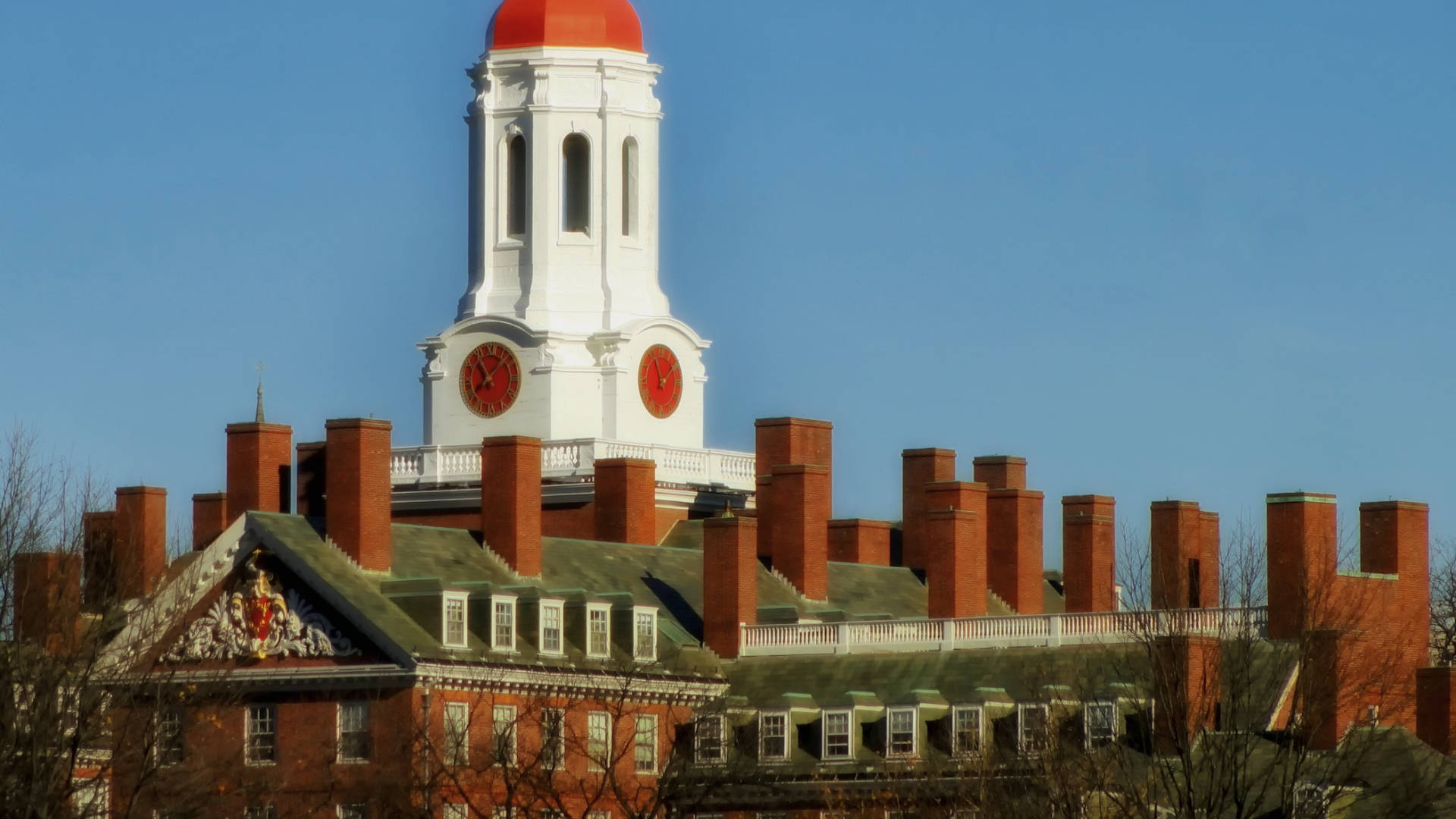 Harvard University Billeder