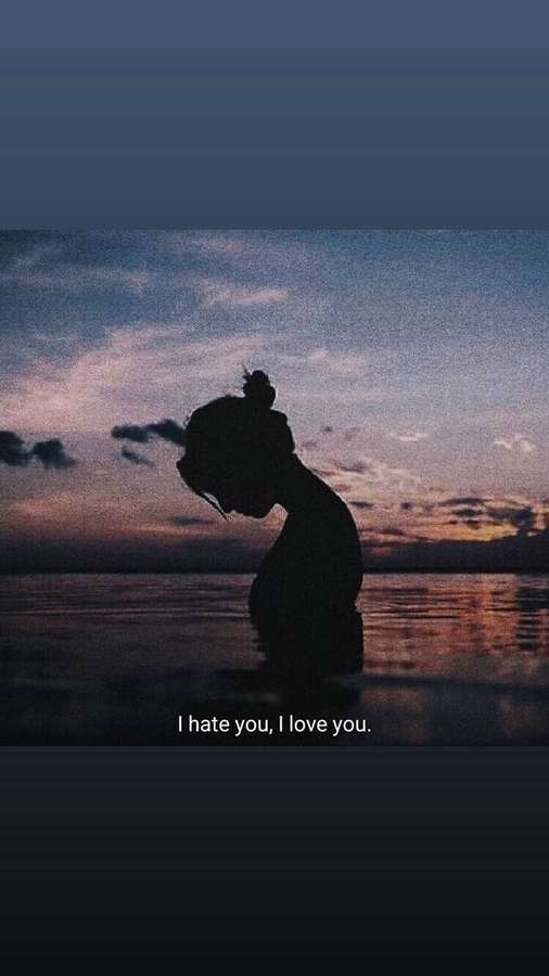 Person standing in water at dusk with text saying I hate you I love you — Hate Background