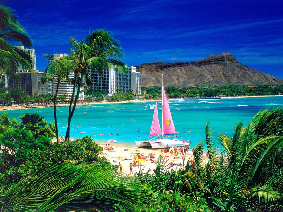 Hawaii Beach Hintergrundbilder