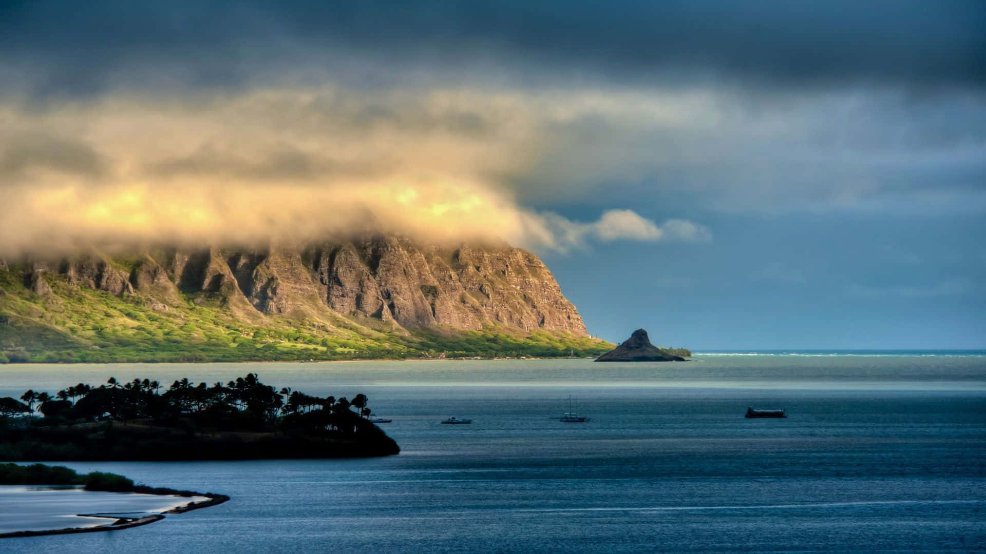 Hawaiiaans Strand Achtergrond