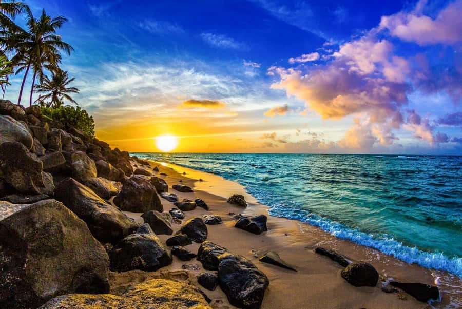 Hawaiianische Sonnenuntergangsbilder