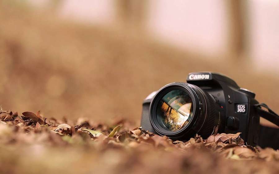 Canon DSLR camera lying on a bed of dry autumn leaves. — HD Photography Background