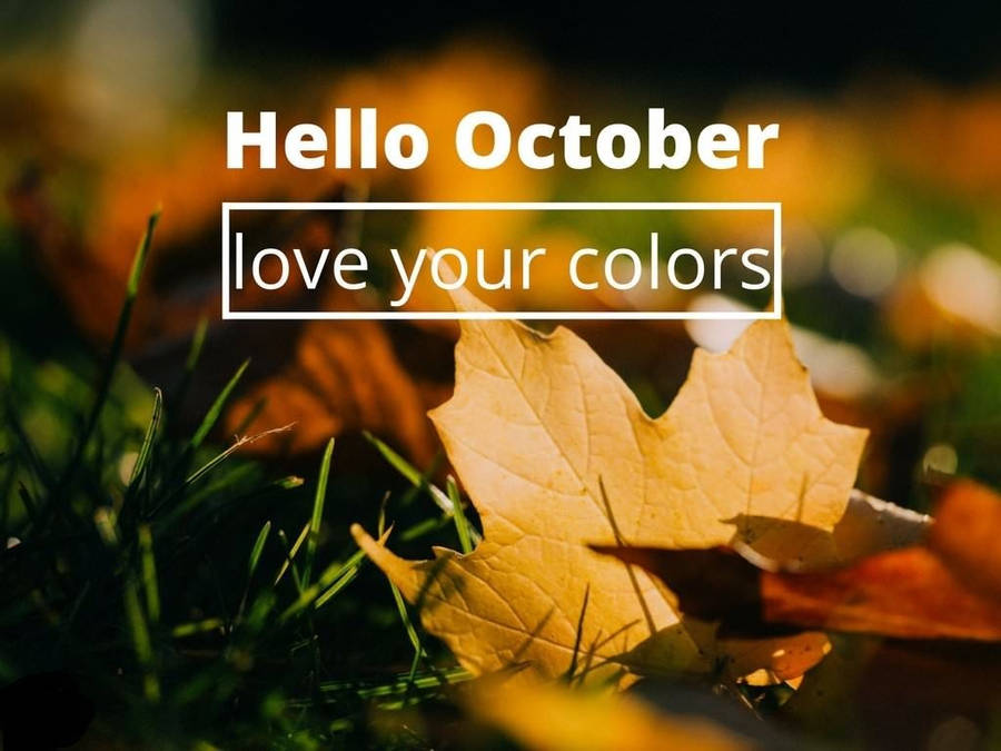 Hej Oktober Bilder
