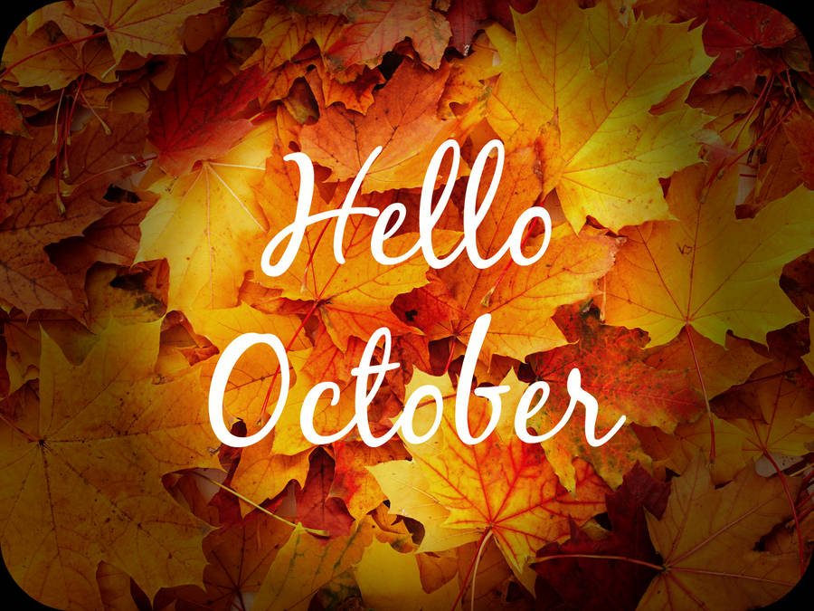 Hej Oktober Billeder
