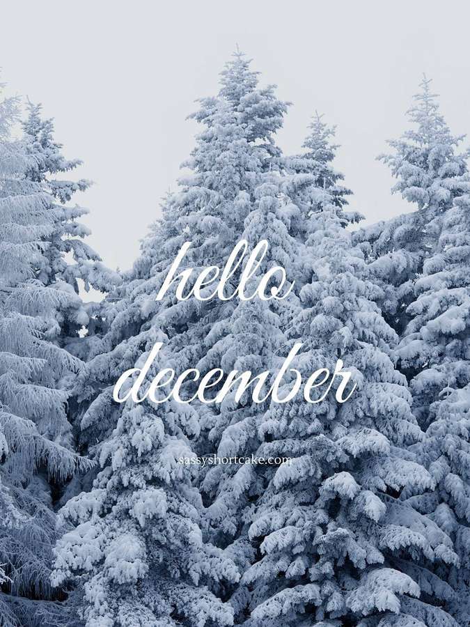 Snow-covered pine trees with hello december text overlay — Hello December Background