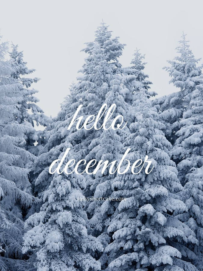 Hello December Wallpaper