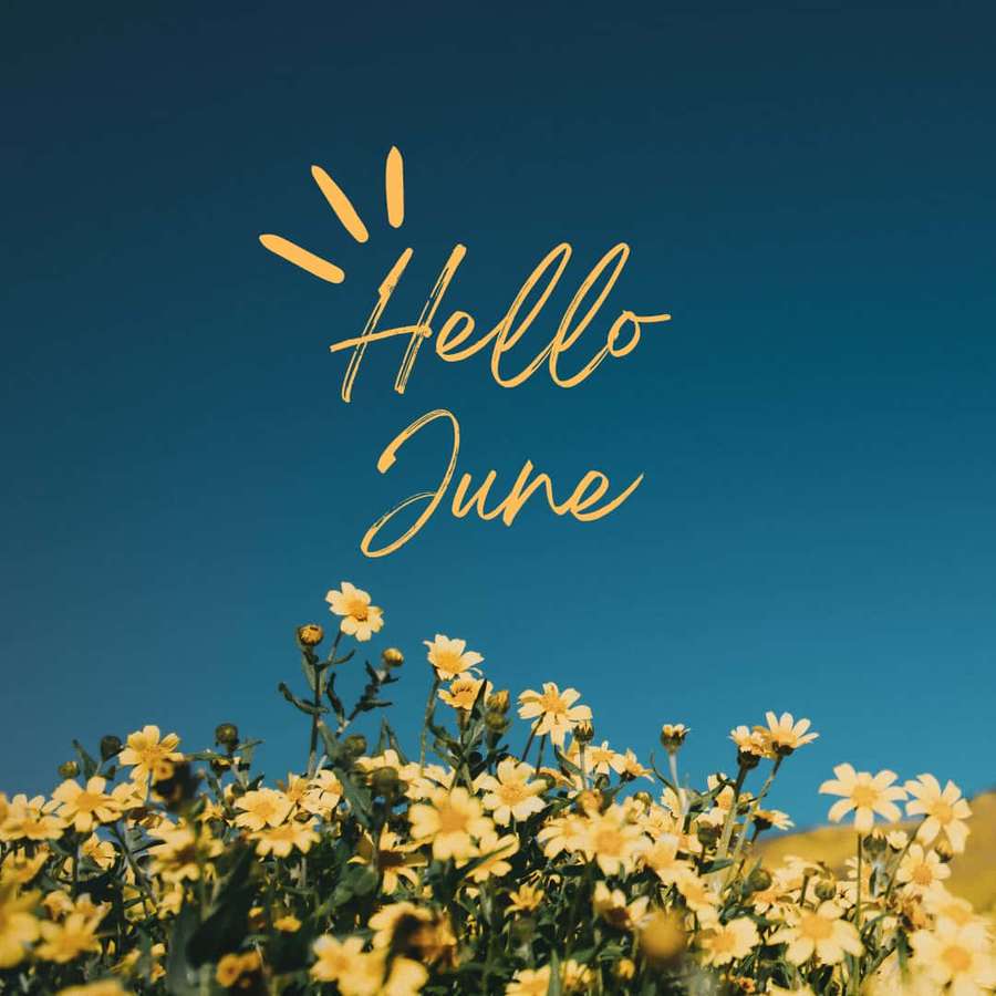 Field of yellow daisies with 'Hello June' text against blue sky — Hello June Wallpaper
