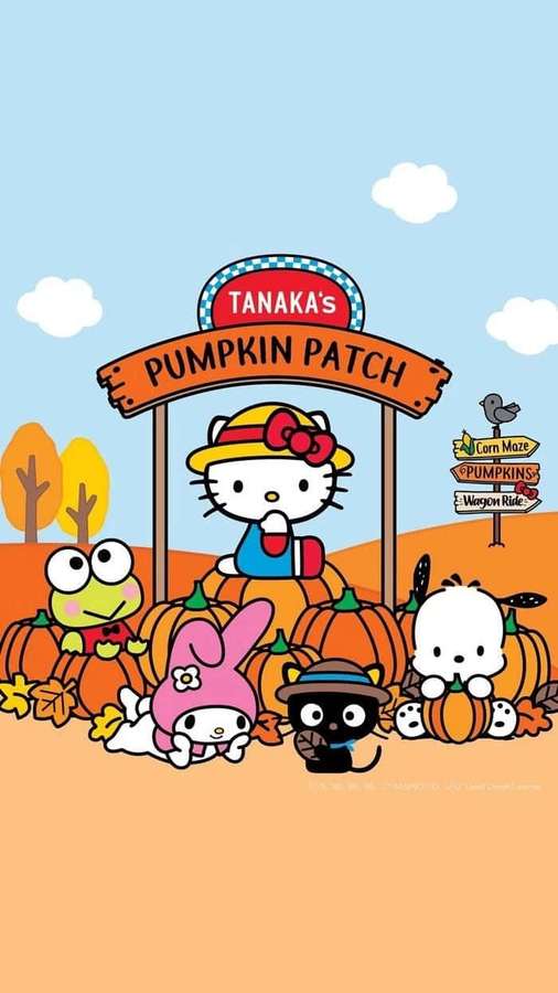 Hello Kitty ja ystävät kurpitsapellolla, jossa on kylttejä maissilabyrintistä ja vaunumatkasta. — Hello Kitty Kiitospäivä Taustakuvat