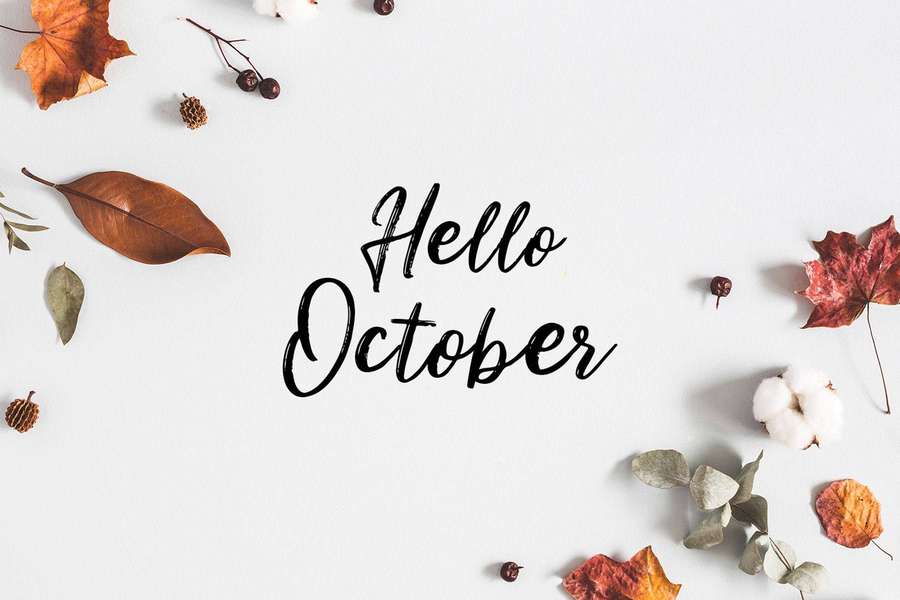 Autumn leaves cotton bolls and pinecones arranged around 'Hello October' text on white. — Hello October Background