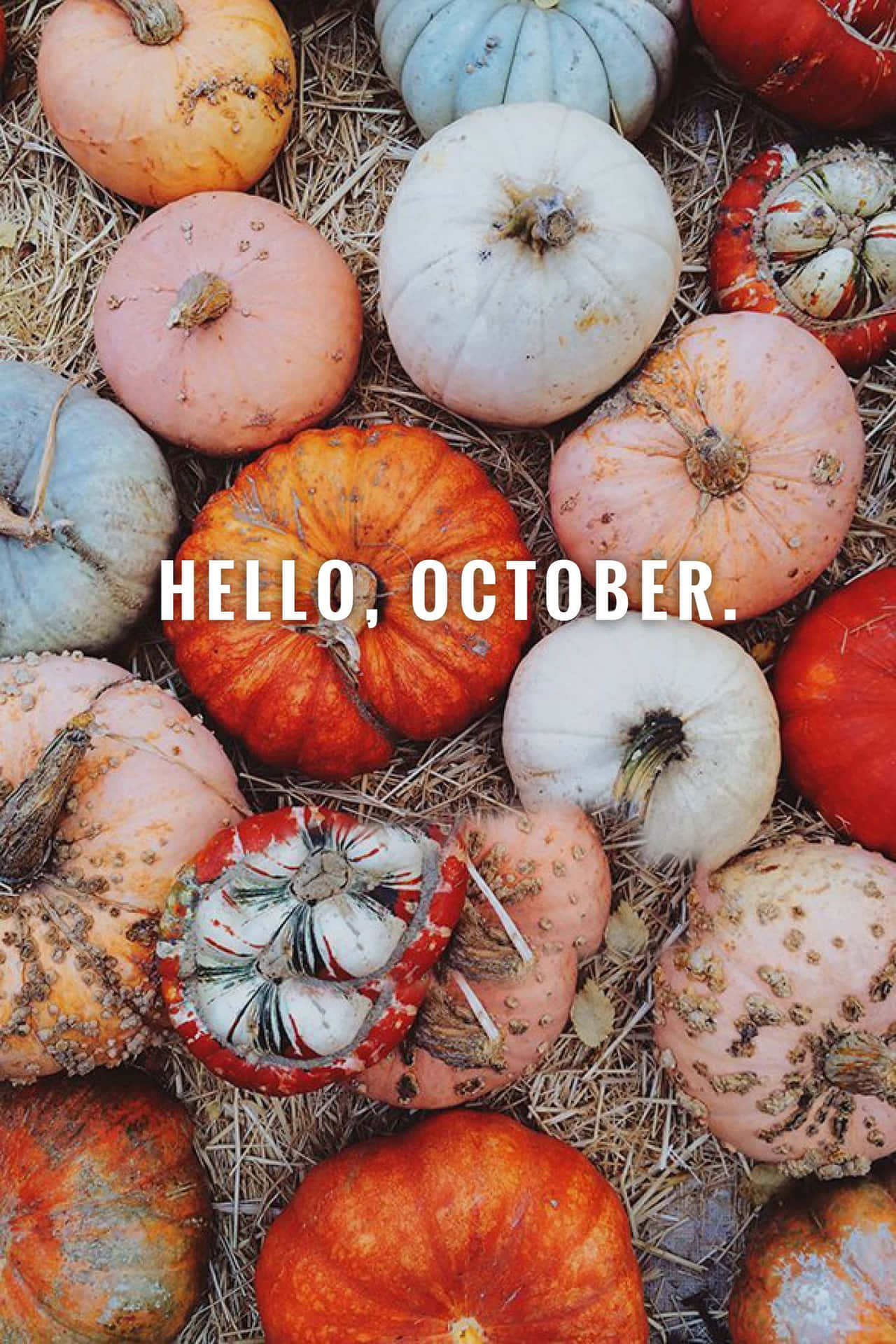 Hello October With Pumpkin Wallpaper