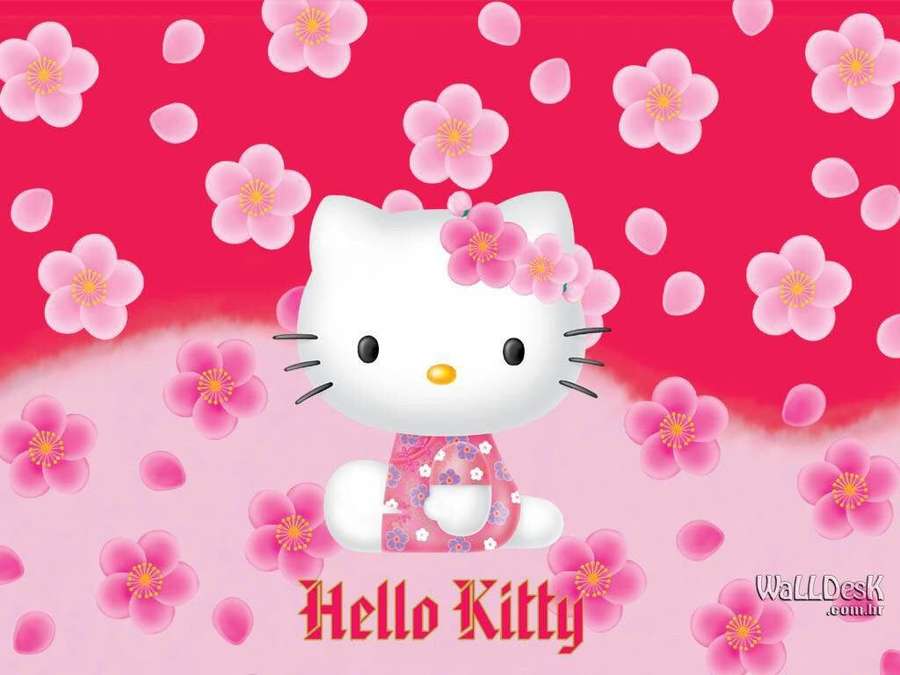 Hello Kitty in a pink cherry blossom field with red background. — Hello There Background