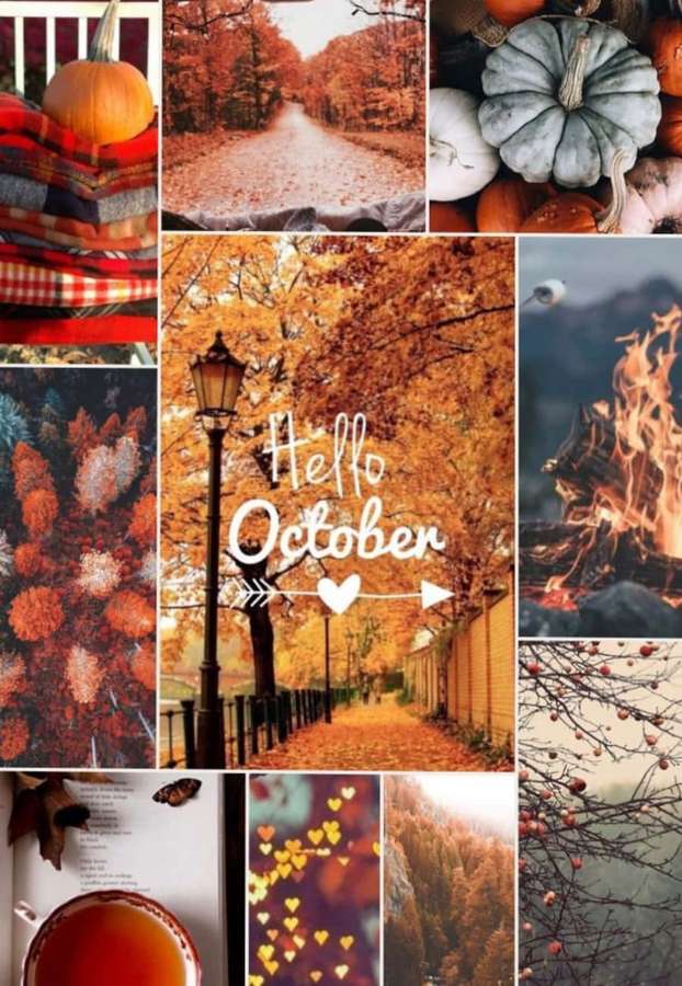 Herbstcollage mit Kürbissen, Blättern, Feuer und kuscheligen Decken. — Herbst collage Wallpaper