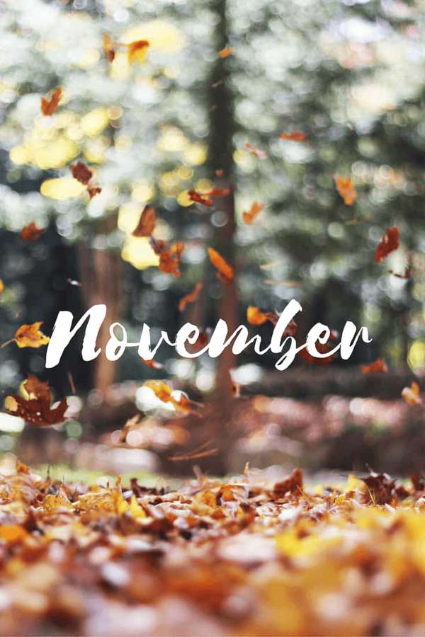 Goldene Herbstblätter, die in einem sonnenbeschienenen Wald wirbeln, mit dem Wort November überlagert. — Herbstblätter Bilder Wallpaper
