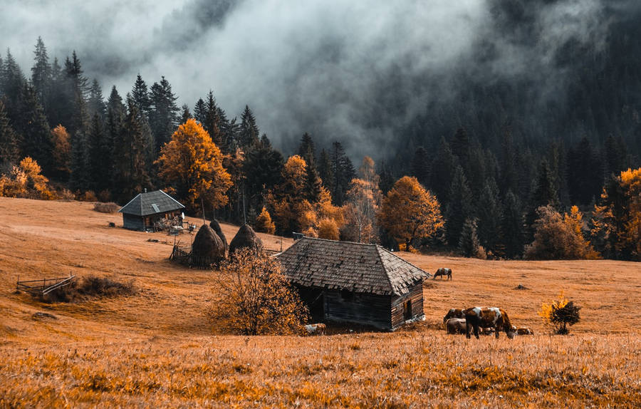 Herfst Boerderij Achtergrond