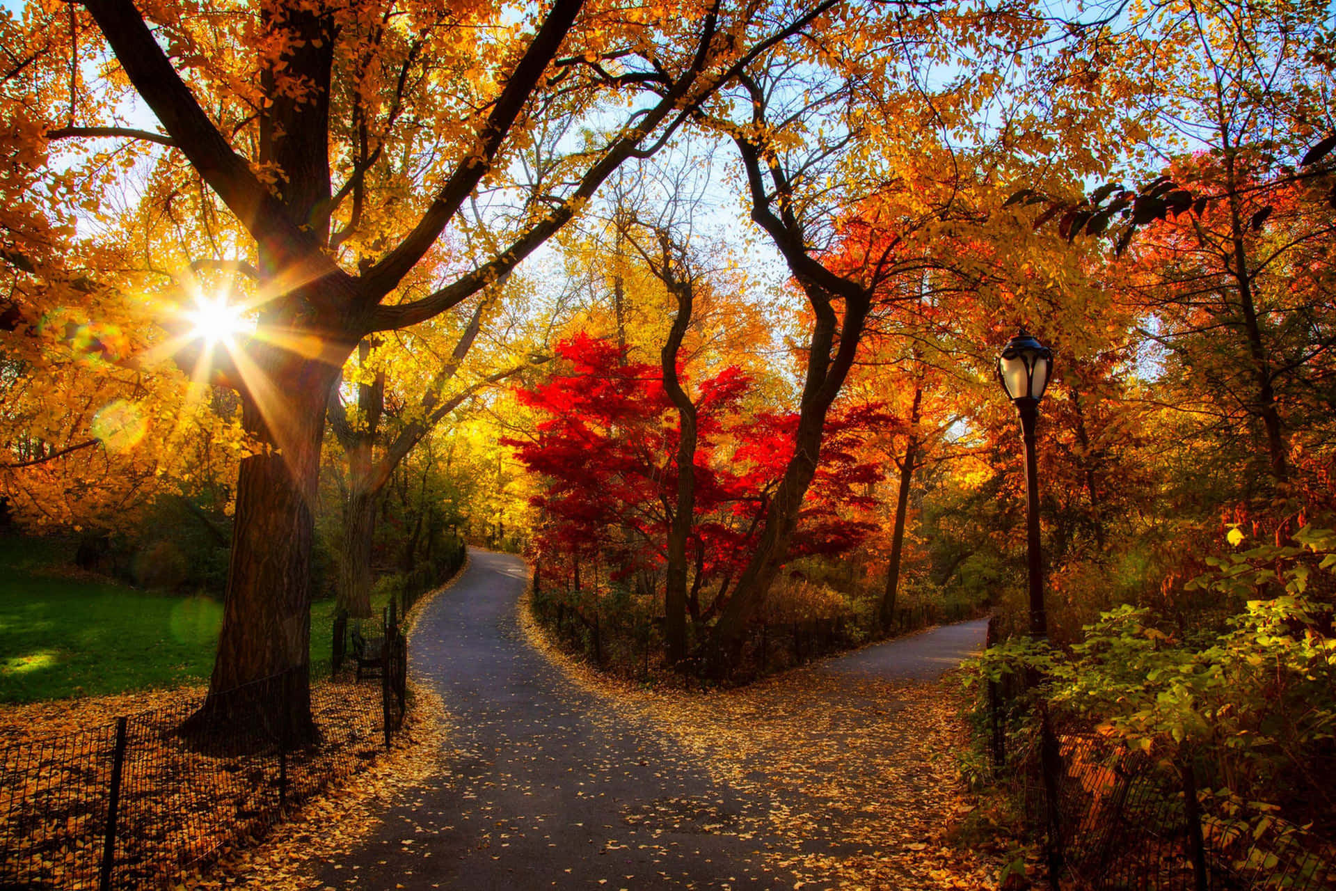 Herfst Fotografie Achtergrond