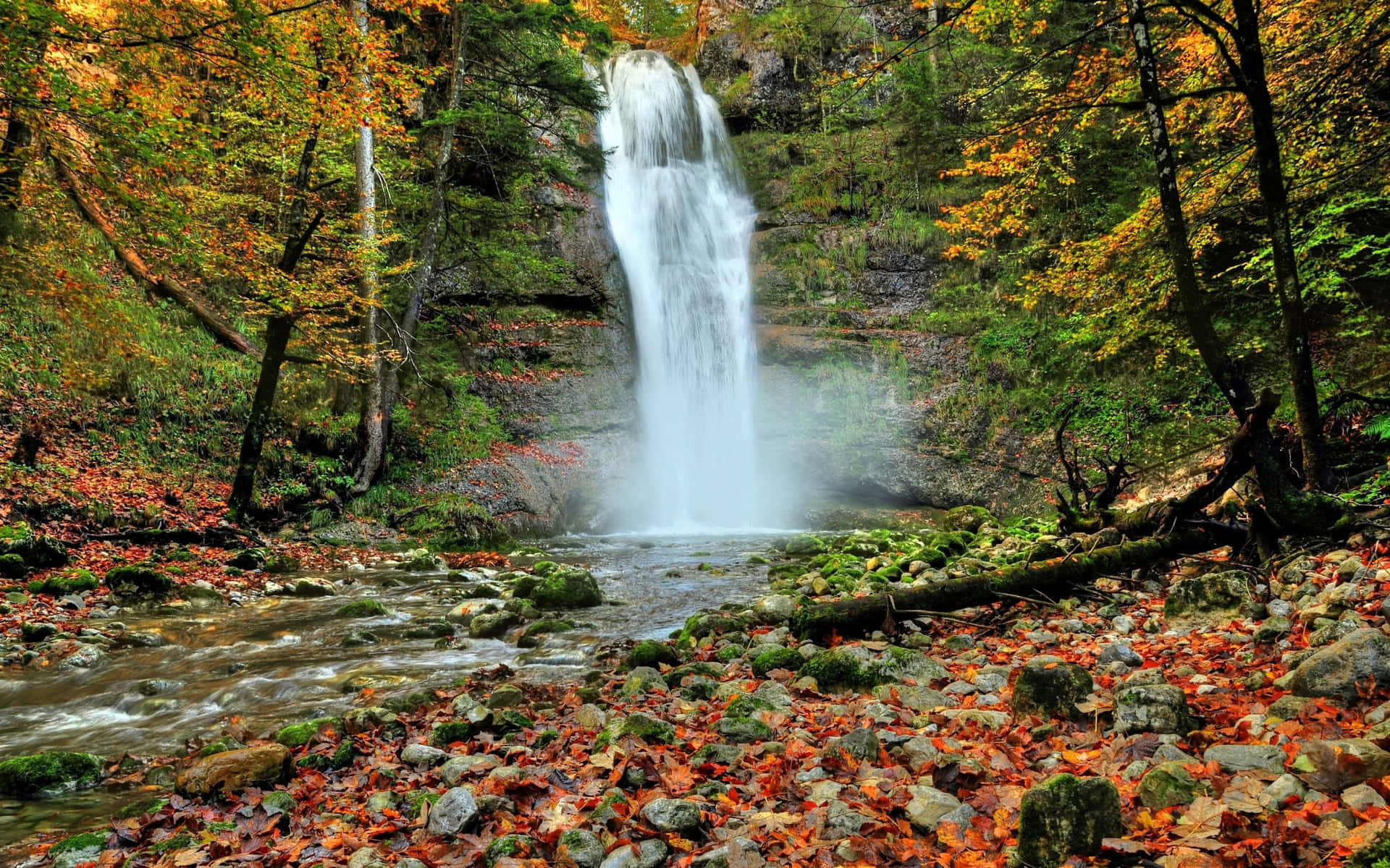 Herfst Rivier Achtergrond