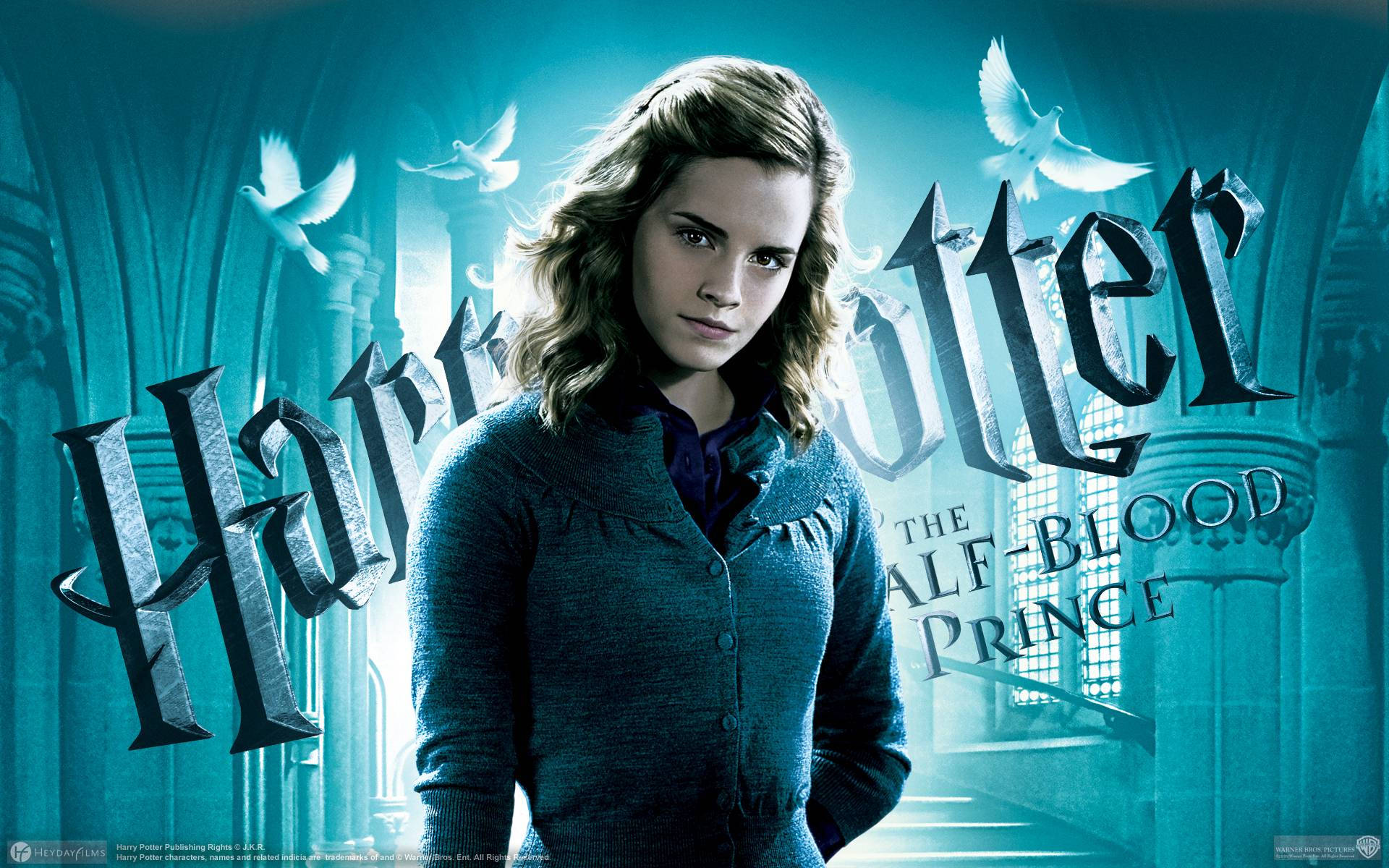 Hermione Granger Fond d'écran