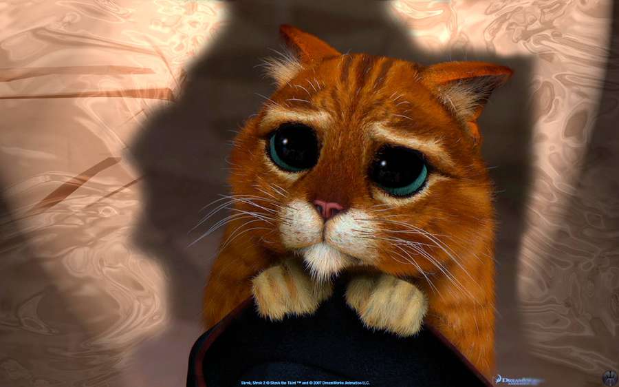 Un gato naranja triste con grandes ojos azules mirando hacia arriba desde detrás de una superficie oscura. — Hermoso Lindo Fondos de pantalla