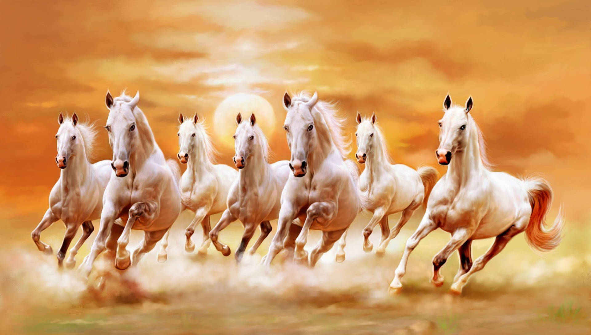 Syv hvide heste galopperer over en mark ved solnedgang. — Hest Wallpapers