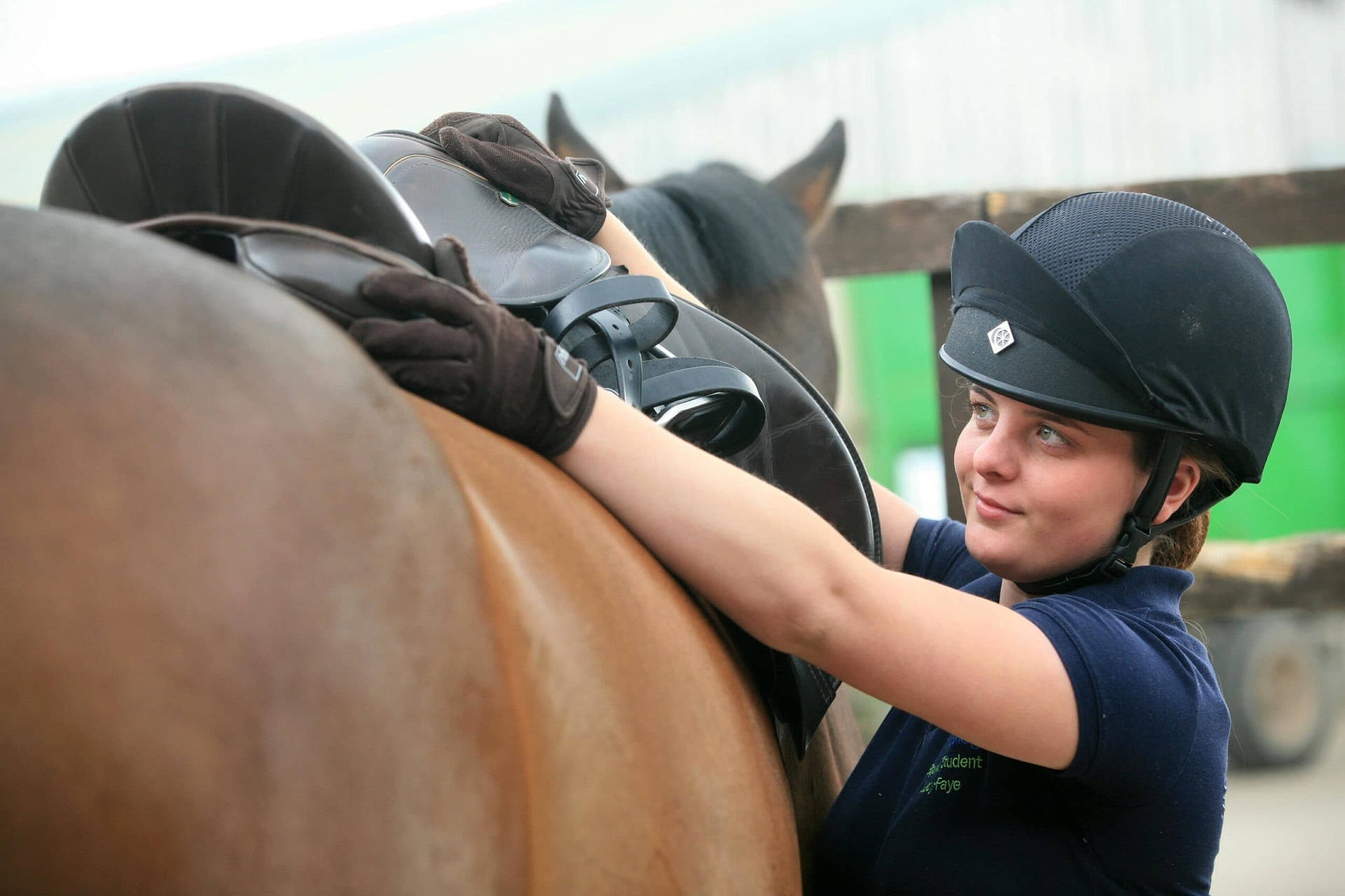 Hest Bakgrunnsbildet