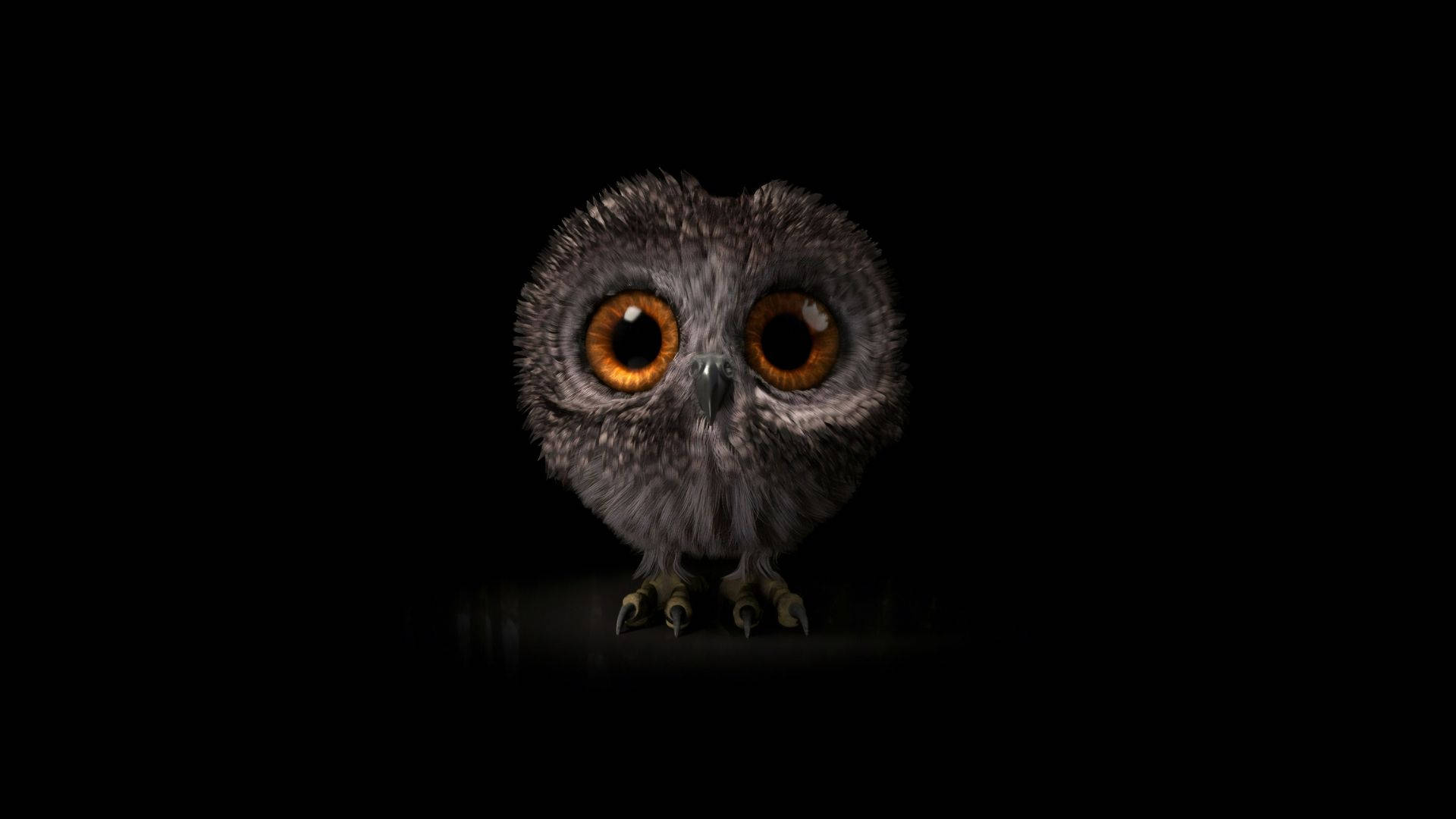 Hibou Bébé Fond d'écran