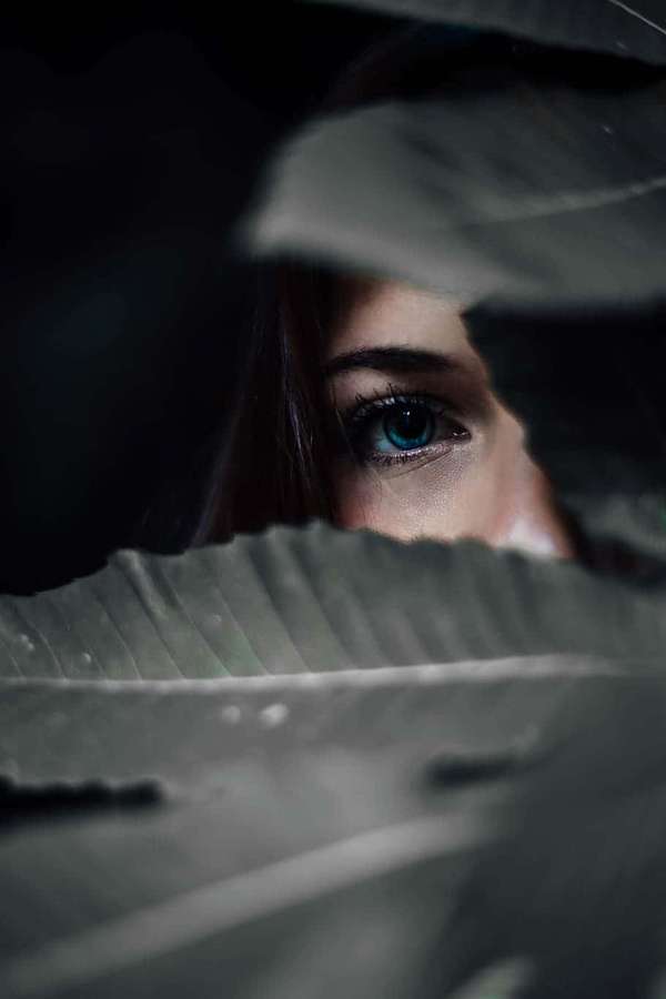 A person's blue eye visible through large green leaves in dim light. — Hidden Picture