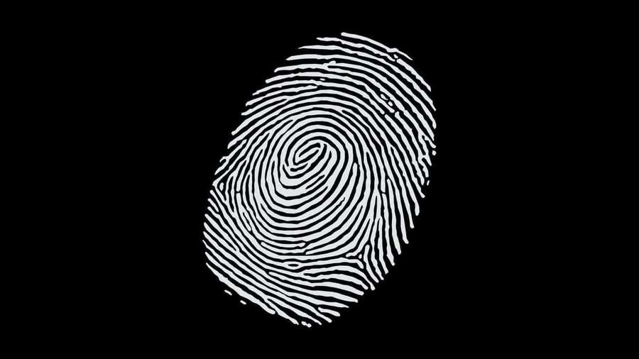 White fingerprint pattern on black background — High Resolution Black Background
